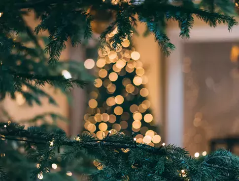 Le campus de Toulouse fête Noël