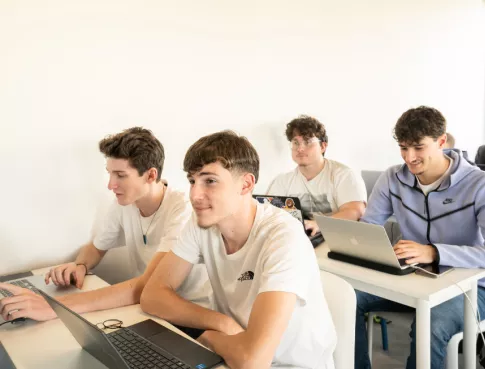Études et carrière : les clés du management sportif