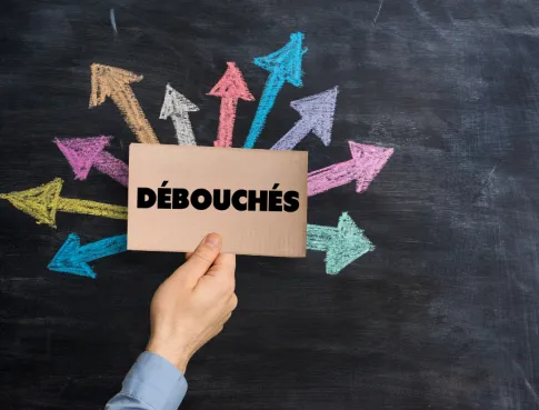 Quels métiers après un master management du sport ?