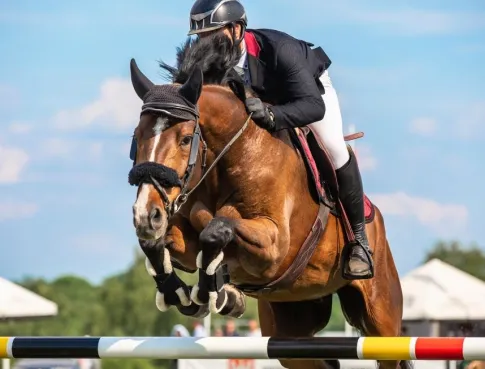 Le sport spectacle et le marketing expérientiel comme nouveaux terrains d’expertise