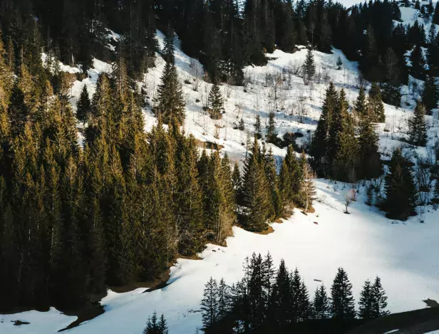 pourquoi-faire-ses-études-en-savoie