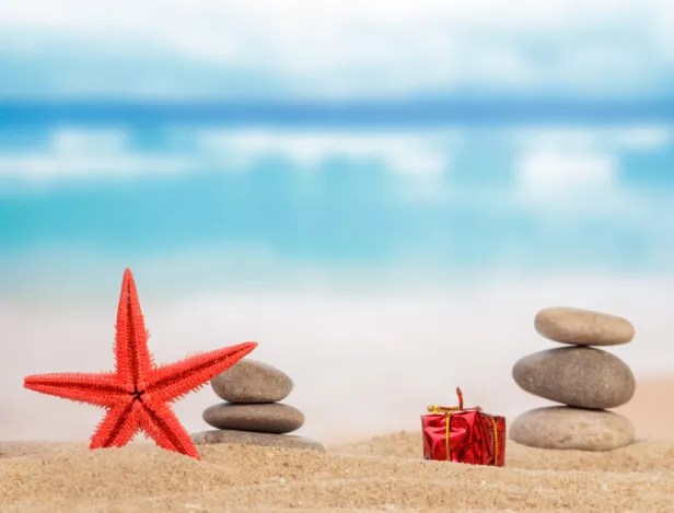 pars-en-vacances-avec-ton-alternance