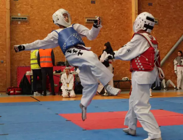 taekwondo2