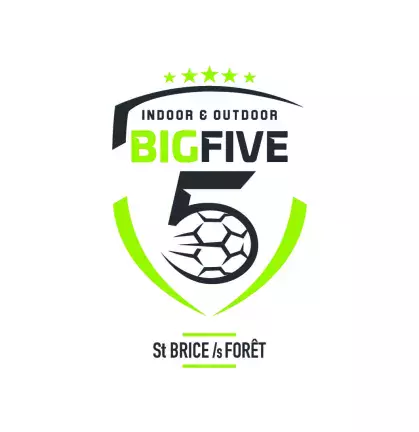 big-five-logo-15988-pdf