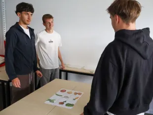 Occupation productive Win Sport School Laval l-équilibre-occupationnel-sensibilisation-occupation-productive-licence-management-du-sport-Win-sport-school-laval-management-du-sport
